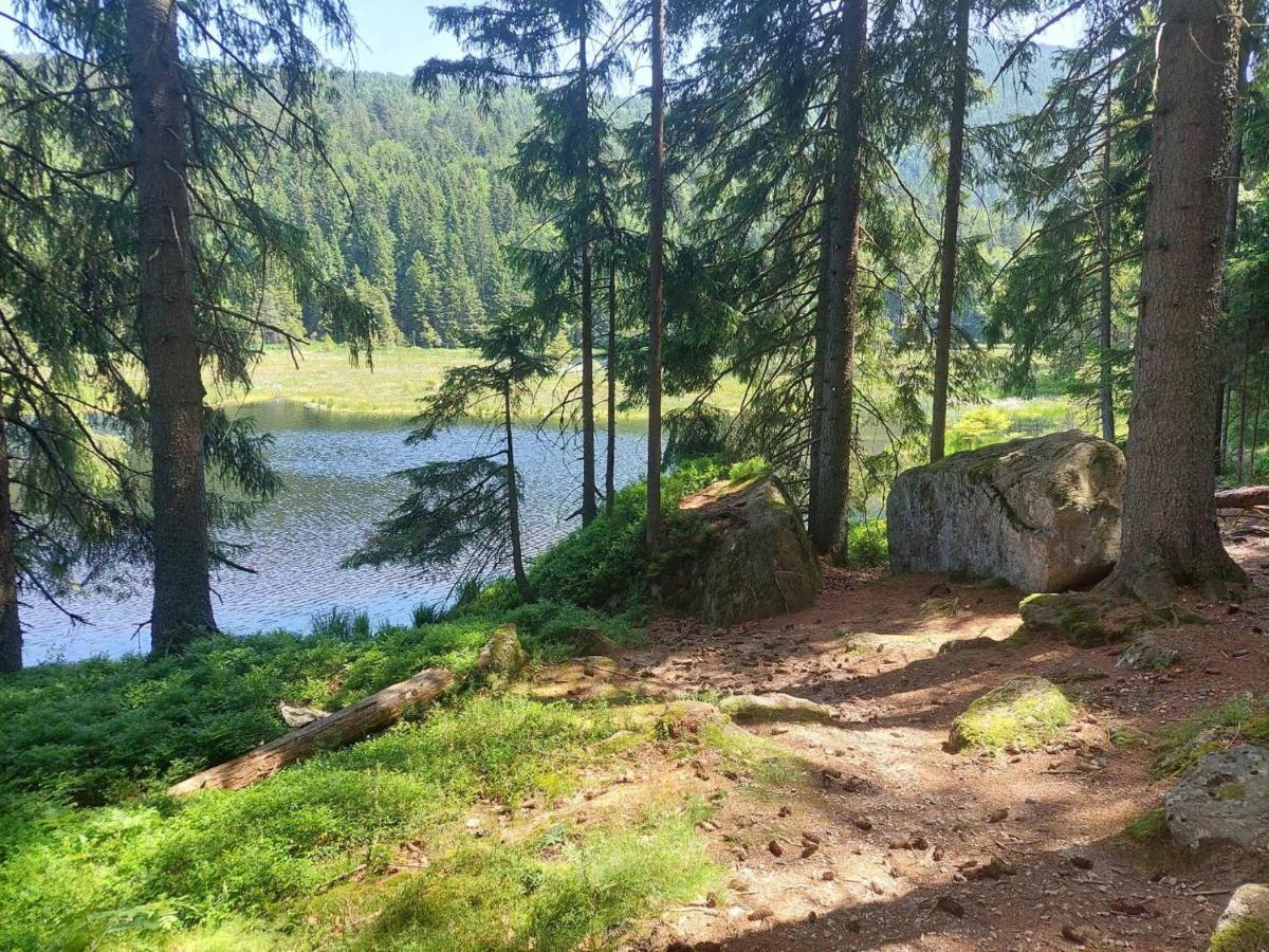 Pension Eichhorn Bayerisch Eisenstein Bagian luar foto